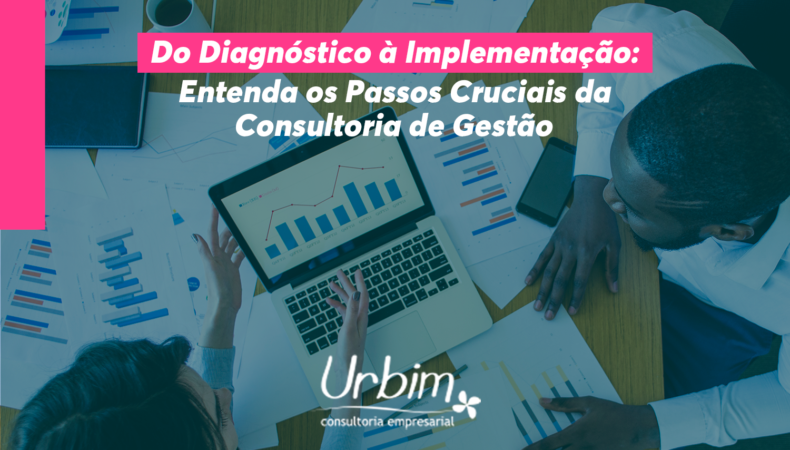 Do Diagnóstico à Implementação: Entenda os Passos Cruciais da Consultoria de Gestão